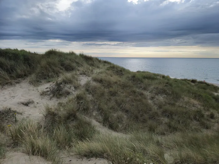 Bredene (België)